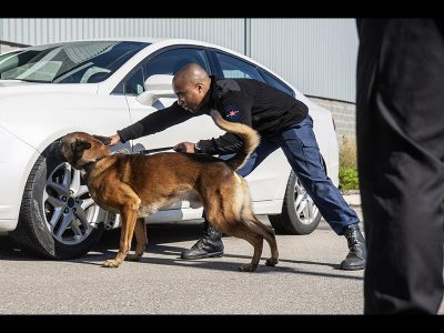 Guard-with-Security-Dog