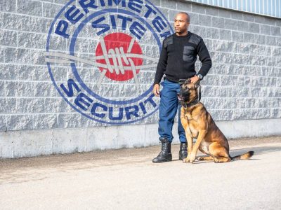 Perimeter-Dog-Handling-01 Perimeter-Dog-Handling-01