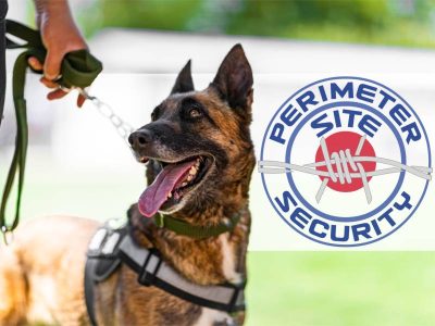 Perimeter-Dog-Handling-02 Perimeter-Dog-Handling-02