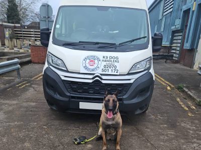 Perimeter-Dog-Handling-Teams-02