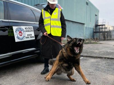 Perimeter-K9-Dog-Handler-Aug-2026-New-01